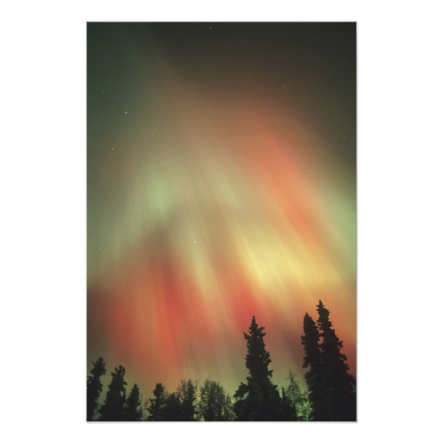Foto Aurora Borealis, auroras boreales, fairbanks (Frente)