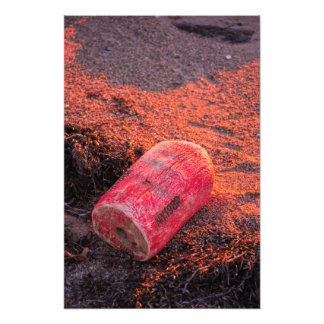 Foto Ausente de casa