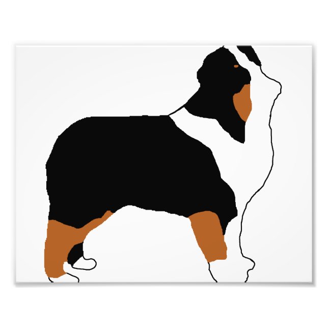 Foto aussie black tri silo (Frente)