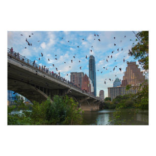 Foto Austin, Texas Bats