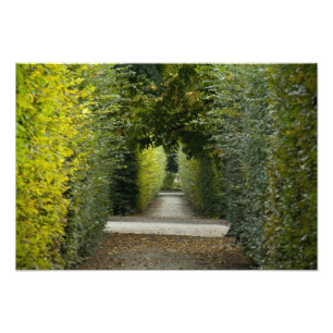 Foto Austria, Viena. El barroco de María Teresa