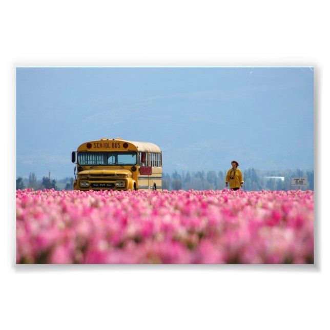 Foto Autobús escolar, Autobús mágico. (Frente)