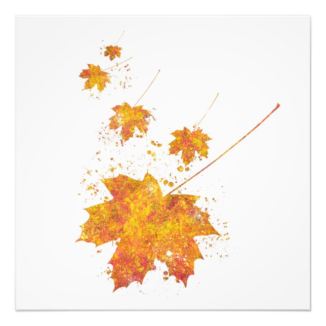 Foto Automne Feuille Forêt Sauvage Nature Monde Terre V (Frente)
