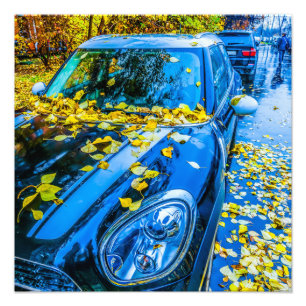 Foto Automóvil, Auto - Temporada De Hojas Caídas