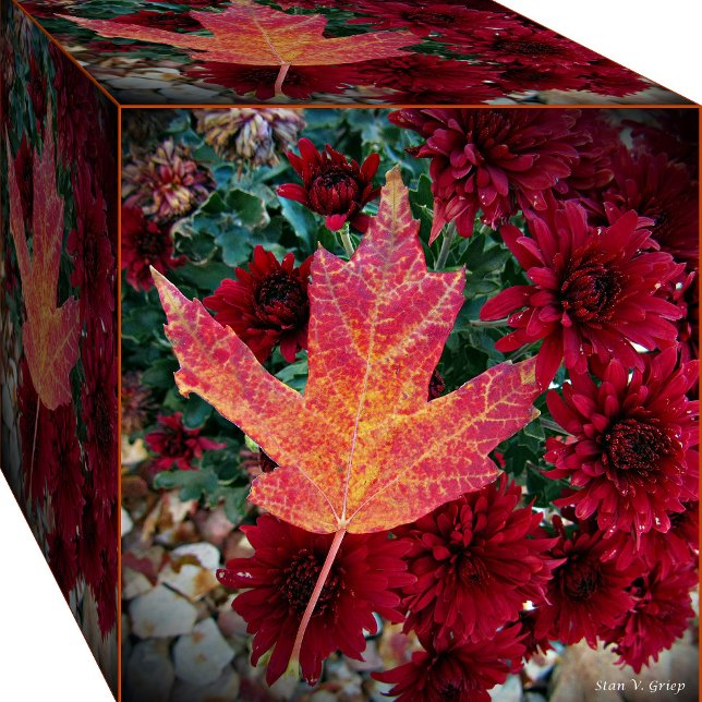 Foto Autumn Delight Photo Art Print by Stan (Subido por el creador)