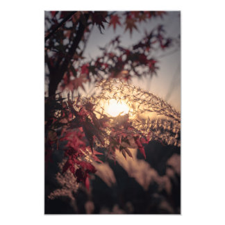 Foto Autumn Scenery in Japan　2023