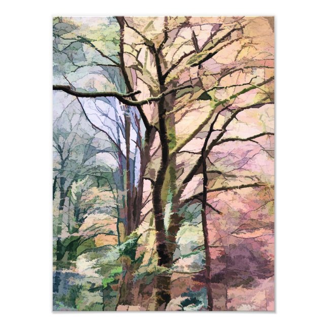 FOTO AUTUMN TREES (Frente)