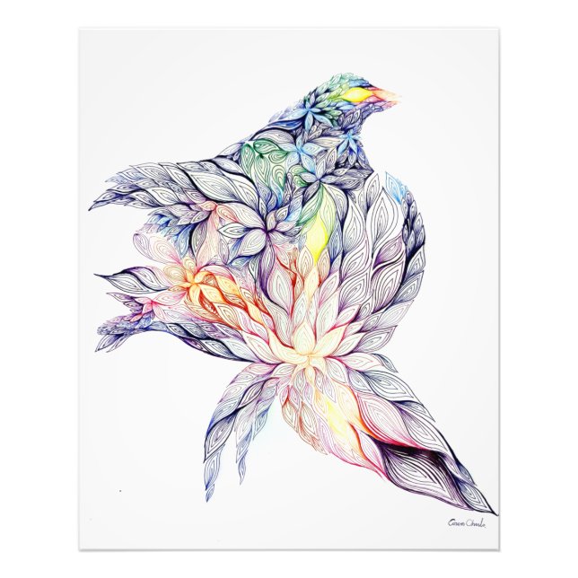 Foto Ave en su nido (Frente)