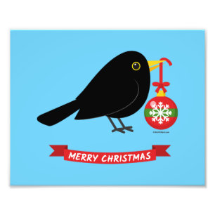 Foto Ave Negra Con Una Bola De Navidades