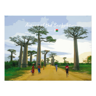 Foto Avenida de los Baobabs, Madagascar - Paisaje