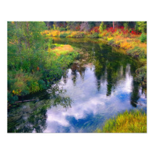 Foto Aventura de Alaska - Paisaje #14