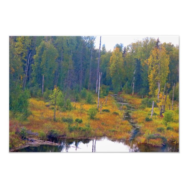 Foto Aventura de Alaska - Paisaje #6 (Frente)