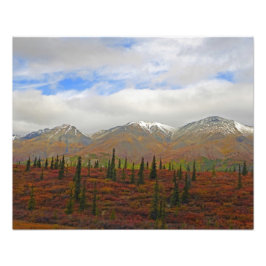 Foto Aventura de Alaska - Paisaje #9