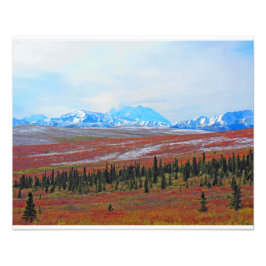 Foto Aventura de Alaskan-Denali- Paisaje #3