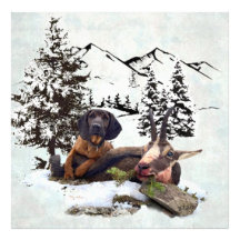 Aventura de caza de cabras de montaña