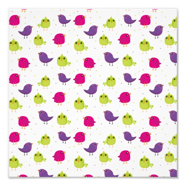 Foto Aves alegres y coloridas (Frente)