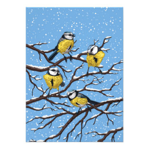 Foto Aves azules en invierno