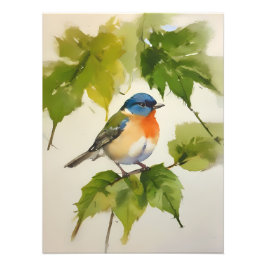 Foto Aves de color acuático - Pintadas a mano