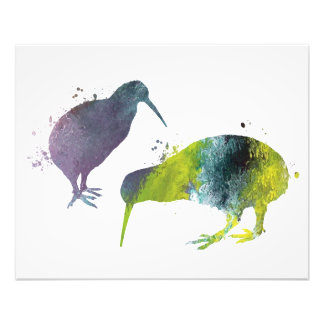 Foto Aves de Kiwi
