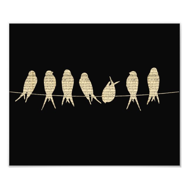 Foto Aves musicales (Frente)