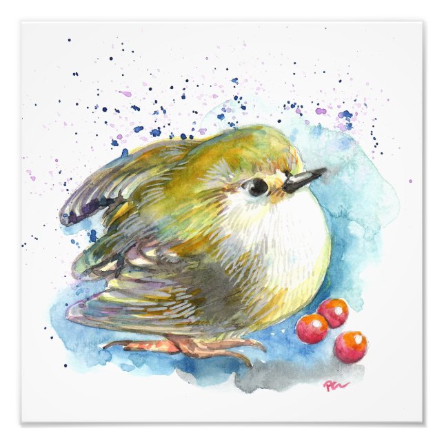 Foto Aves y bayas (Frente)