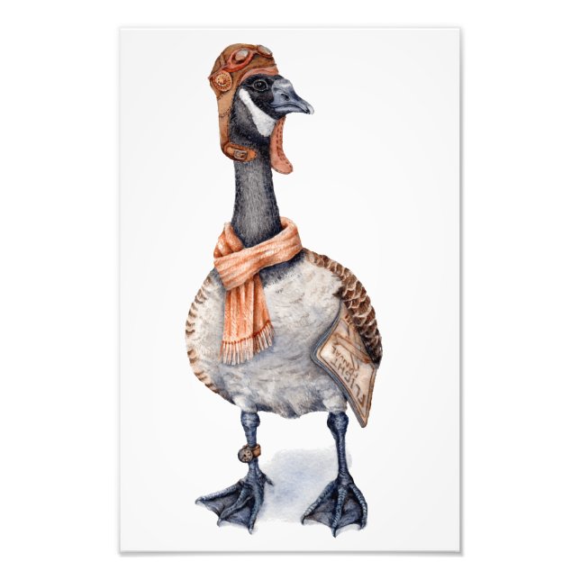 Foto Aviator Goose Art Print (Frente)