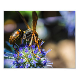 Foto Aware 10" x 8", Kodak Pro Photo Paper (Satinado)