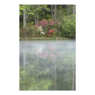 Foto Azaleas reflejándose en un estanque durante tempra