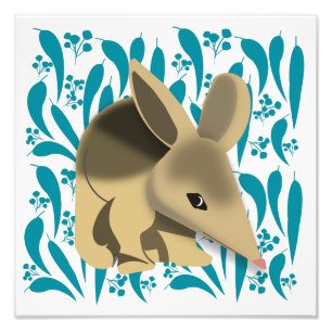 Foto Baby Bilby