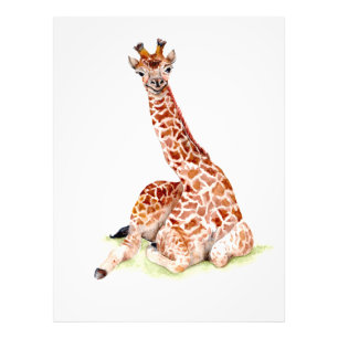 Foto Baby Giraffe