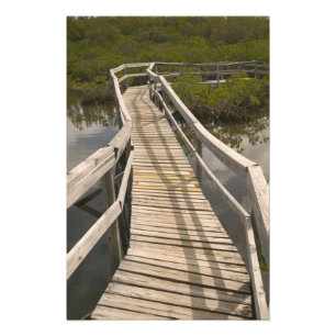 Foto BAHAMAS, Isla de Gran Bahama, Lado Este: