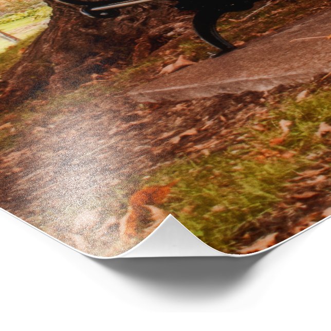 Foto Bancos del Parque Riverside (Esquina)