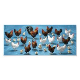 Foto Bandada de pollitos y gallos