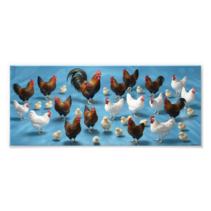 Foto Bandada de pollitos y gallos