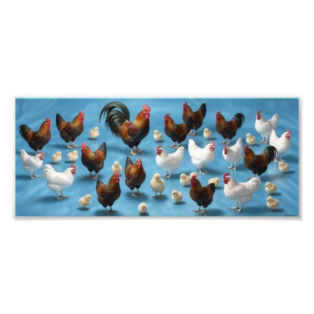 Foto Bandada de pollitos y gallos (Frente)