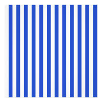 Bandas combinadas azules reales de Shirley Taylor