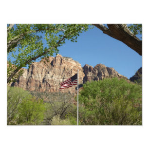 Foto Bandera Americana en el Parque Nacional Zion II