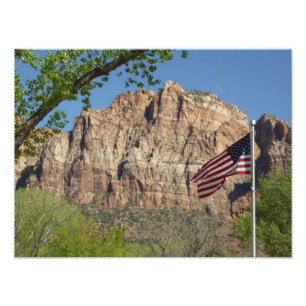 Foto Bandera Americana en Zion National Park I