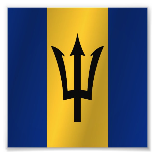 Foto Bandera de Barbados (Frente)