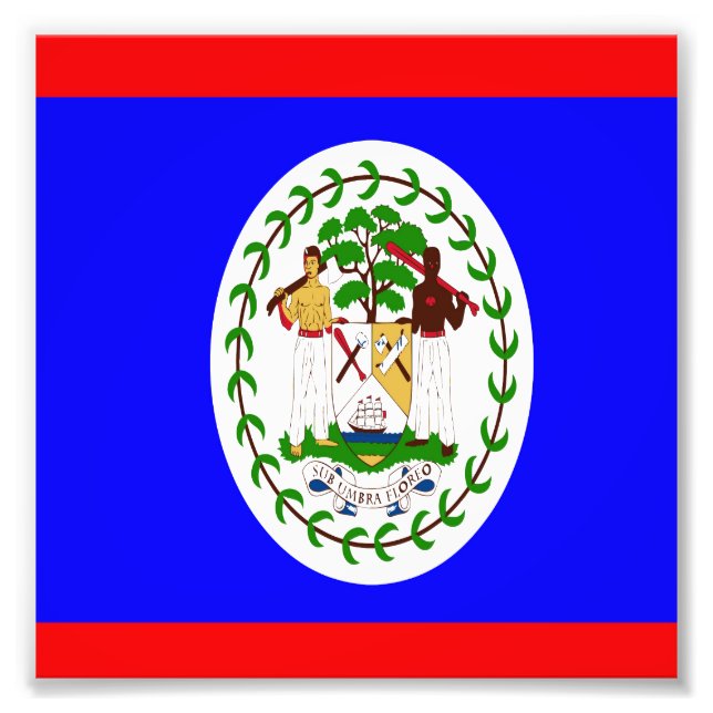 Foto Bandera de Belice (Frente)