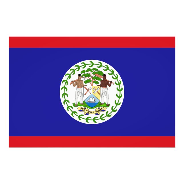 Foto Bandera de Belice (Frente)