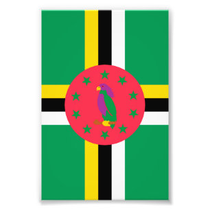 Foto Bandera de Dominica