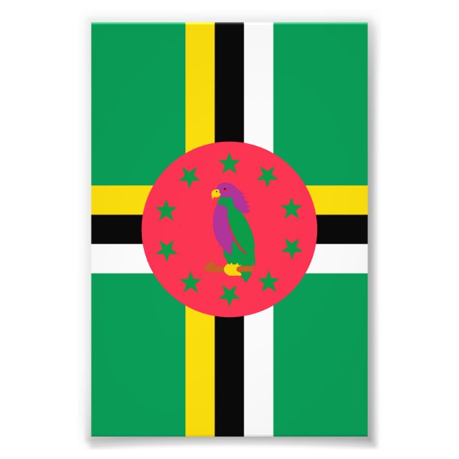 Foto Bandera de Dominica (Frente)