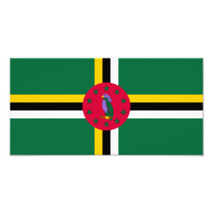 Foto Bandera de Dominica