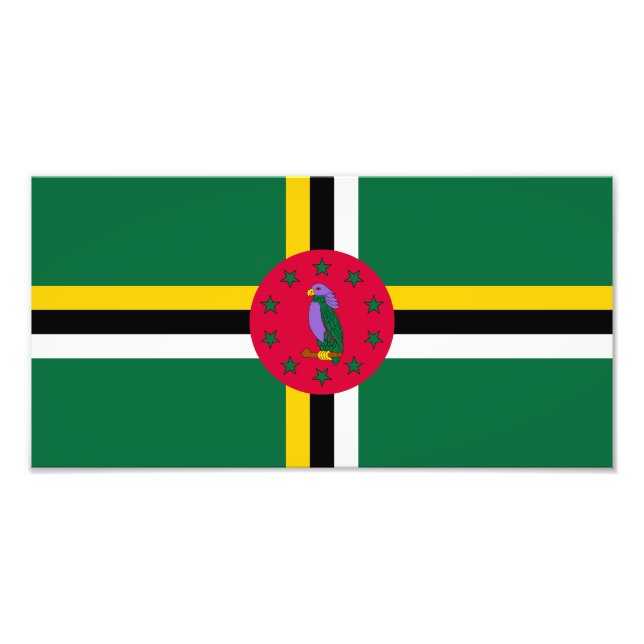 Foto Bandera de Dominica (Frente)