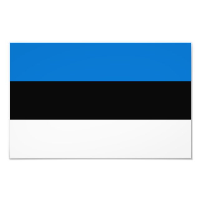 Foto Bandera de Estonia (Frente)