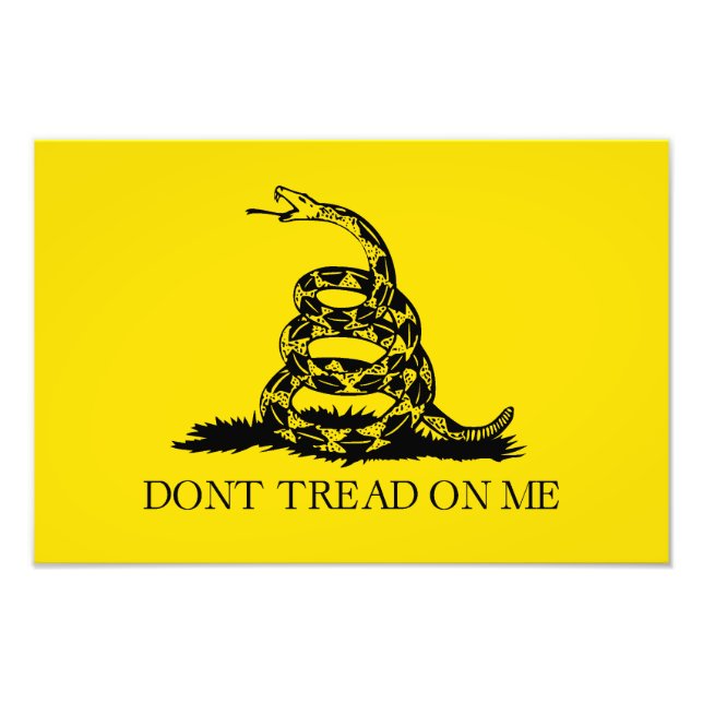 Foto Bandera de Gadsden Rattlesnake: Guerra Revoluciona (Frente)
