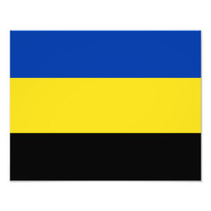 Foto Bandera de Gelderland
