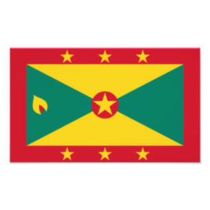 Foto Bandera de Granada