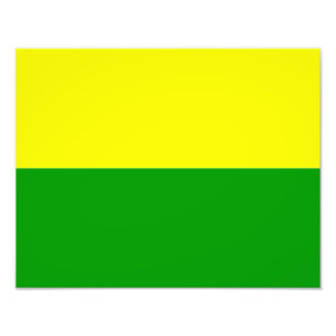 Foto Bandera de La Haya